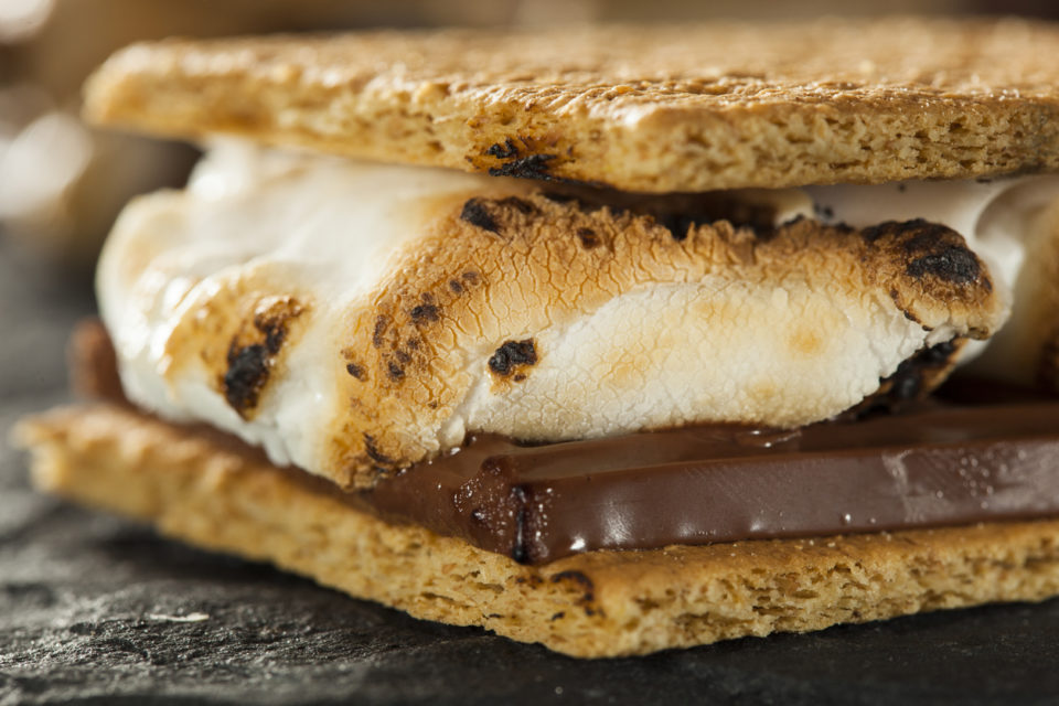 Close-up side view of a gooey s'more
