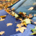 Tips For Caring For Your Car This Fall